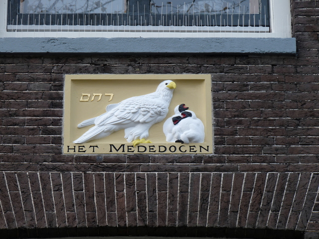 P1000964 amsterdam-herfst