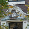 P1010012 - amsterdam-herfst