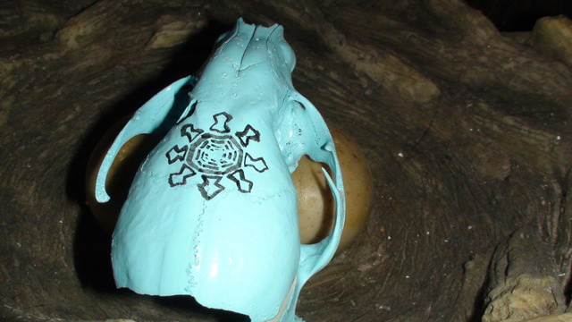 painted blue skull Fotograffi