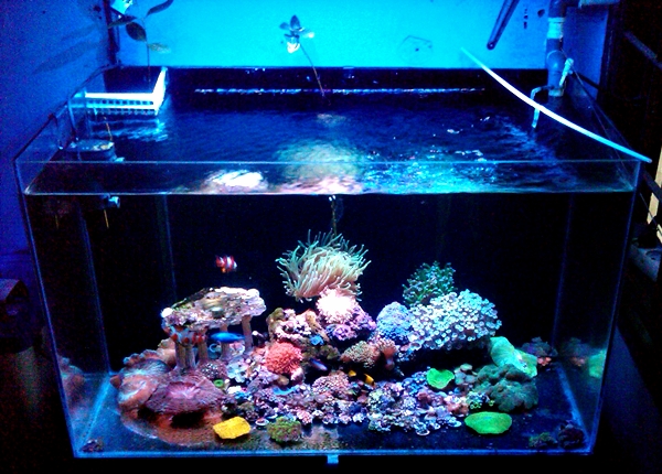 IMG01993-20121015-1511 - 