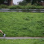 DSC04617 - Midden Voorneloop 19 okt 08