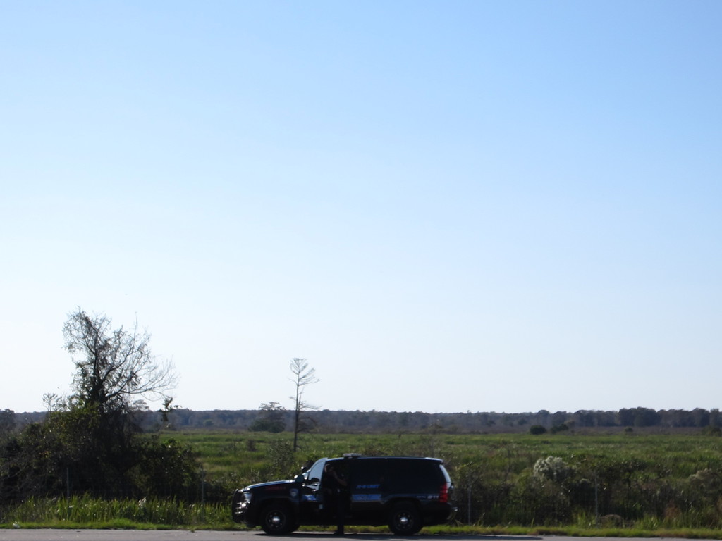 IMG 9115 - 2012 October