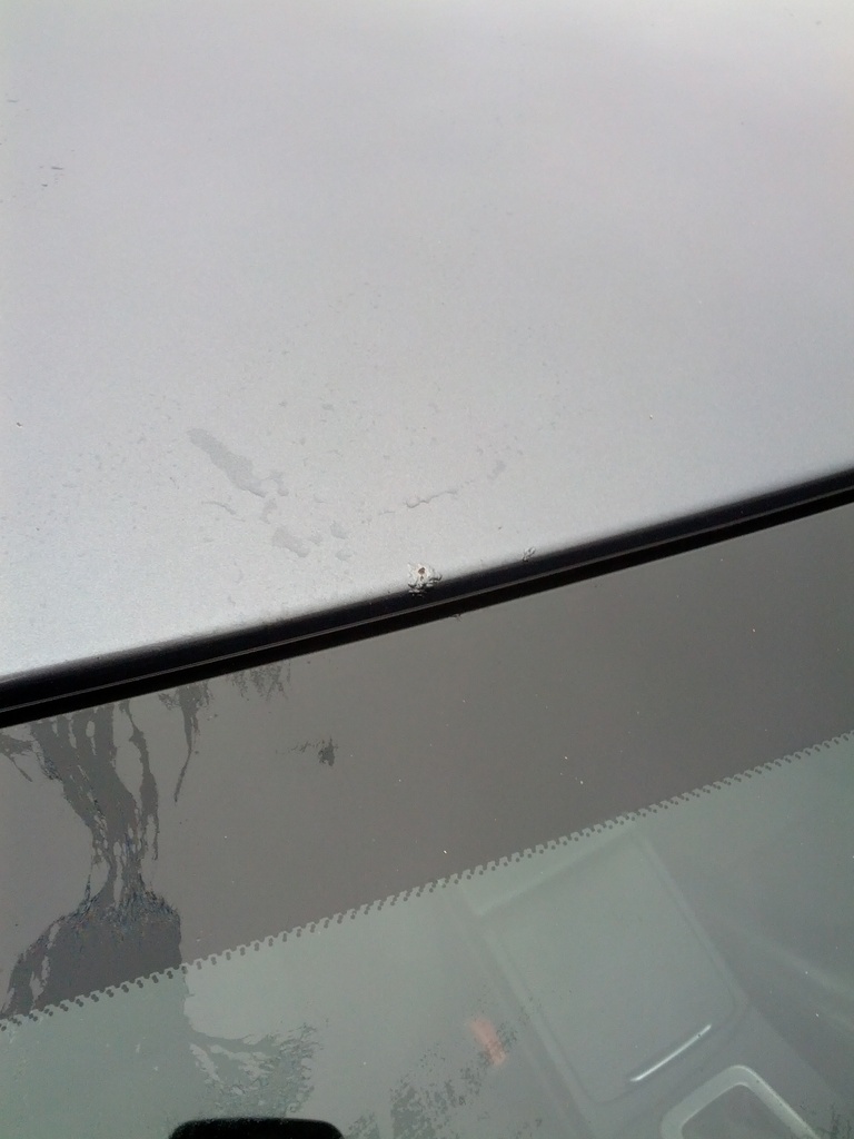 IMG 20121021 103409 - 