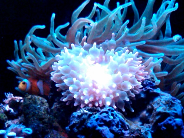 IMG00008-20121023-1800 - 