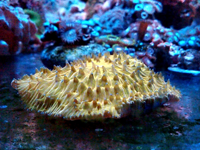 IMG00001-20121023-1758 - 