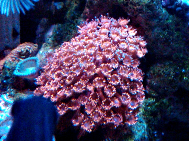 IMG00006-20121023-1759 - 