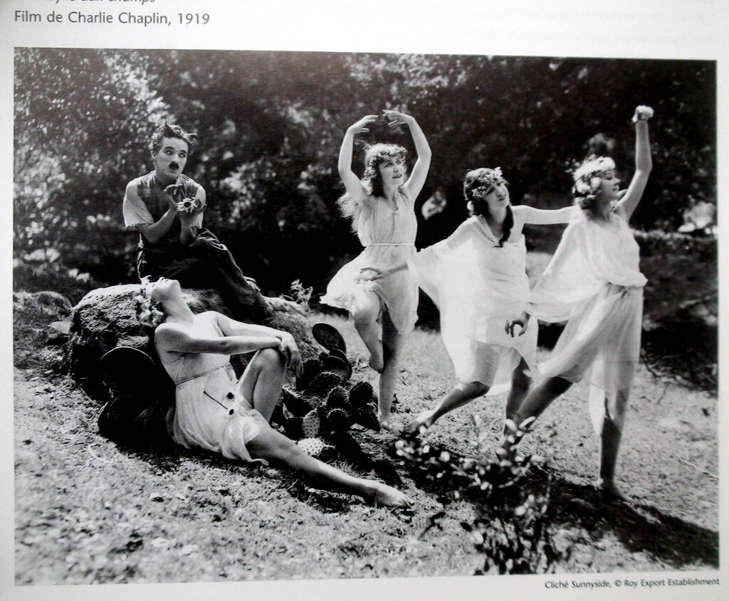 chaplin random junks