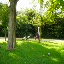 P1010092 - Vondelpark