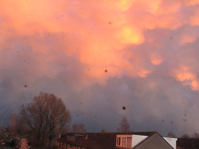 IMG 4246 Lucht