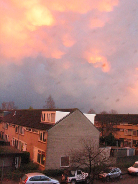 IMG 4247 Lucht