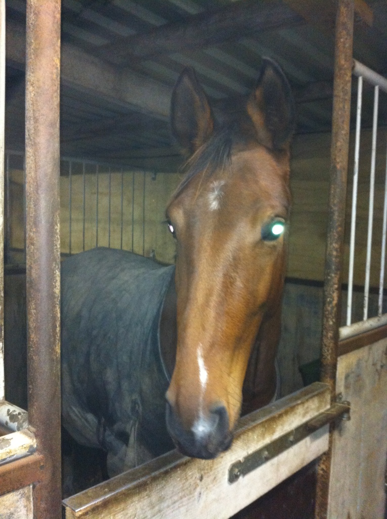 1e x deken op 7-11-2012 - 