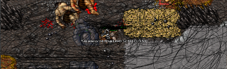 53 - 