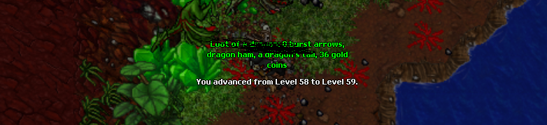 59 - 