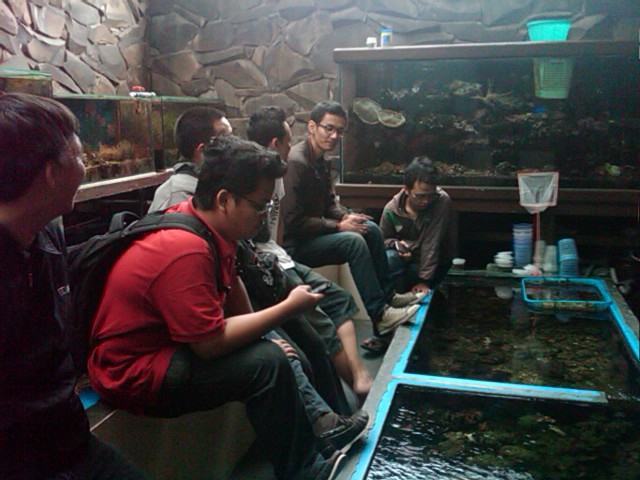 IMG00250-20121110-1604 - 