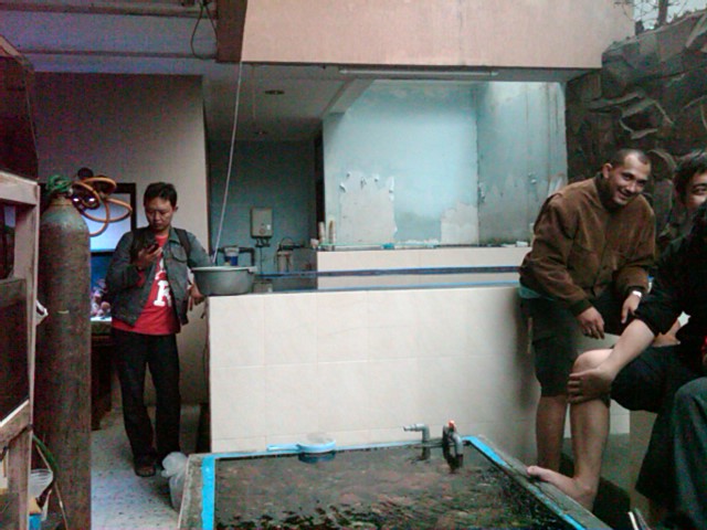 IMG00251-20121110-1605 - 