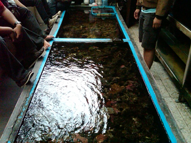 IMG00252-20121110-1606 - 