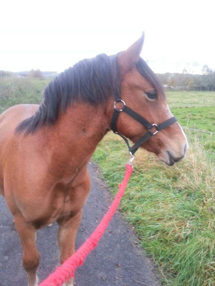 395168 10151276878252394 409240885 n - 