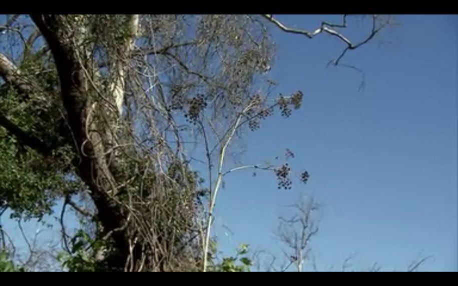 at-one-point-the-instructors-catch-the-unnatural-m - 