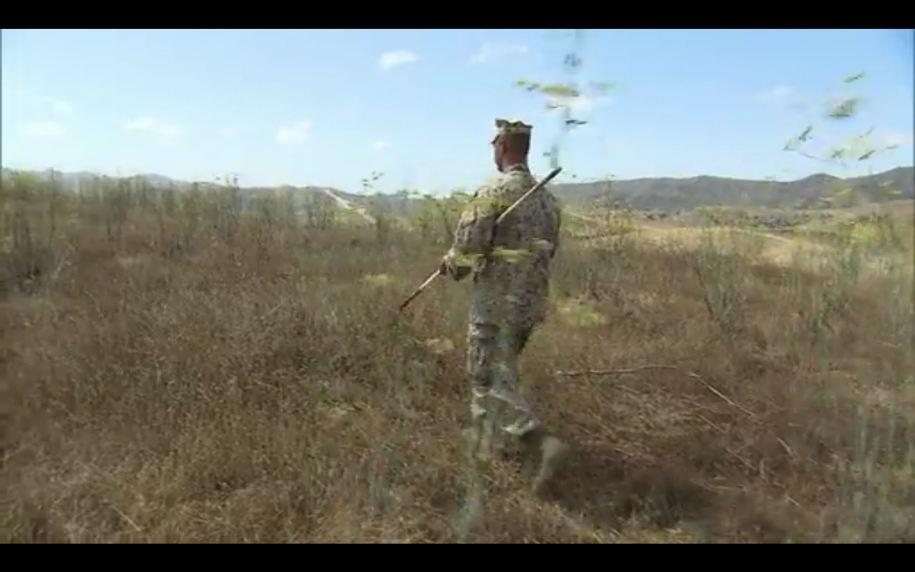 so-they-send-out-a-walker-guided-via-radio-who-can - 