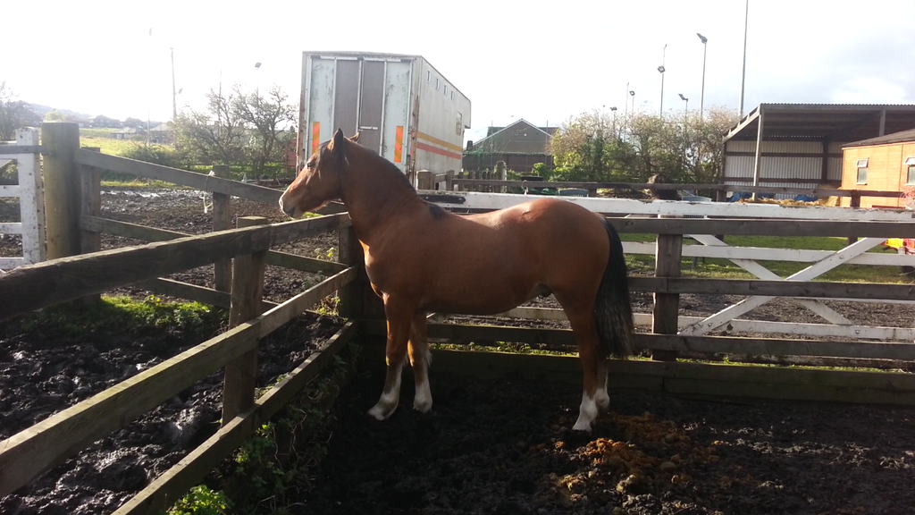 Screenshot 2012-10-30-11-03-52 - 