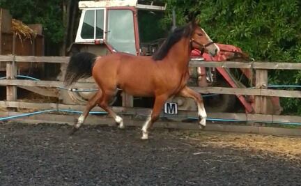 283590 10151235924577394 539714615 n - 