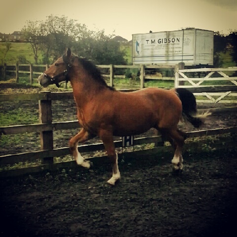 IMG 20121002 111720 - 