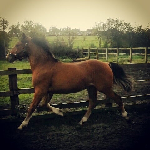 IMG 20121002 111513 - 