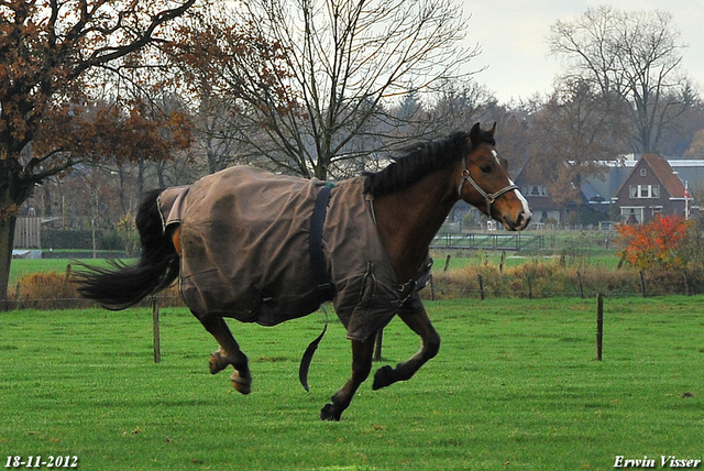 18-11-2012 050-BorderMaker End 2012