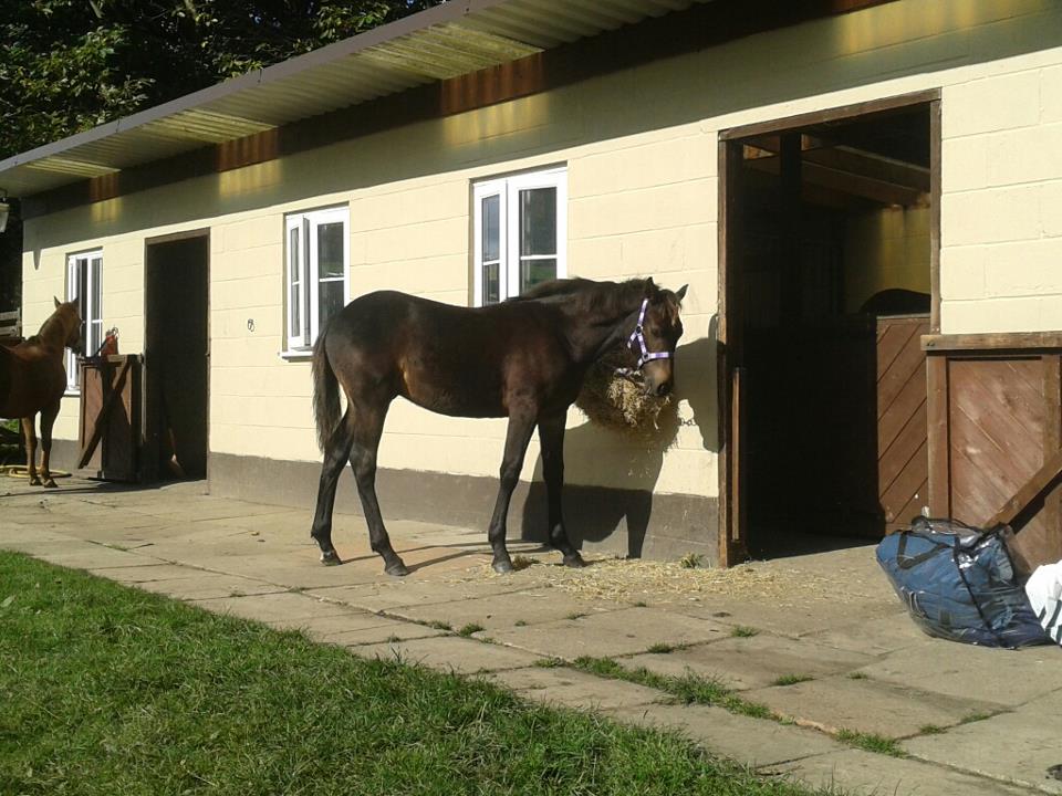 408461 4227705843834 2115457306 n - 