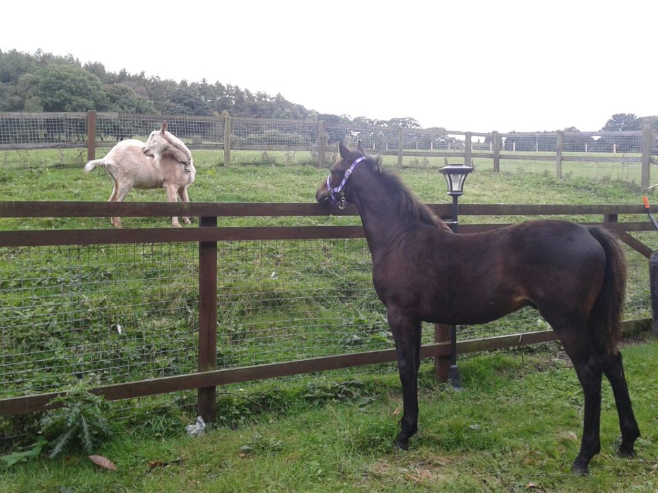 564322 4227888568402 2057698322 n - 