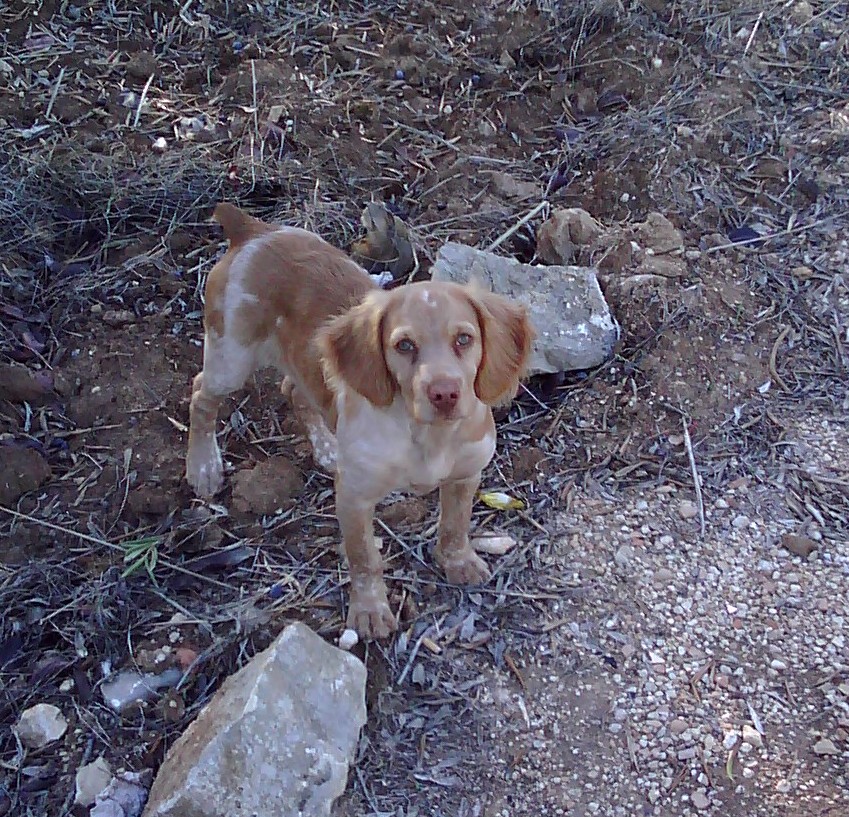 IMG 20121102 082151 - 