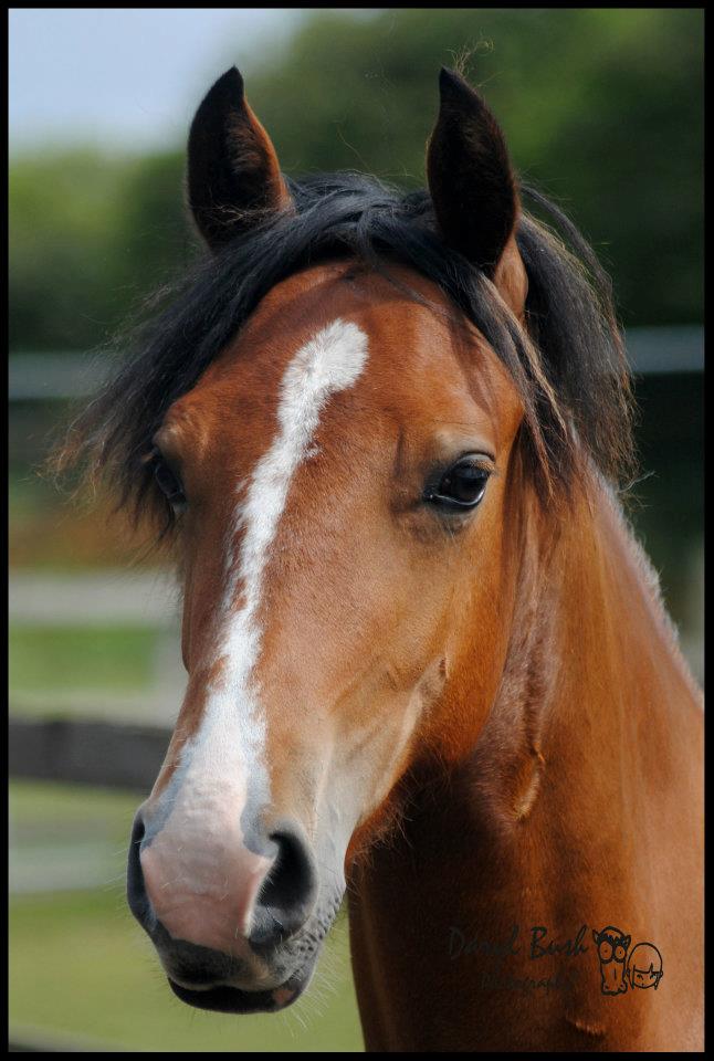 562804 257124151066625 1681152736 n - 