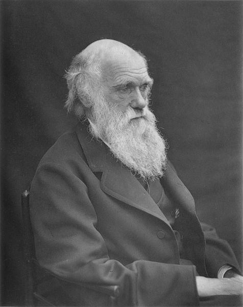 476px-1878 Darwin photo by Leonard from Woodall 18 - 
