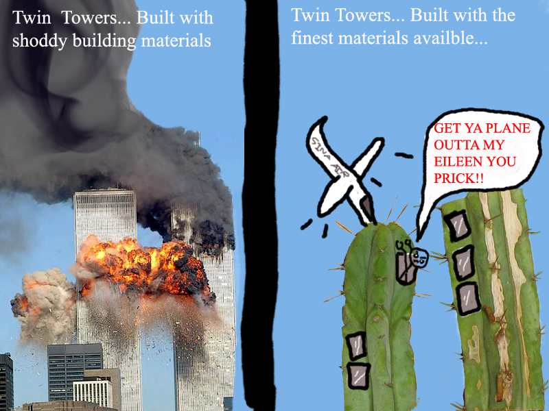 The Eileen Towers With Windows copy - 