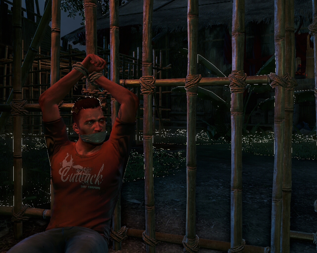 farcry3 2012-11-29 19-34-14-84 - 