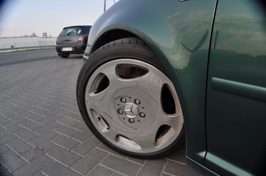 spot 24.04.2011 010 - 