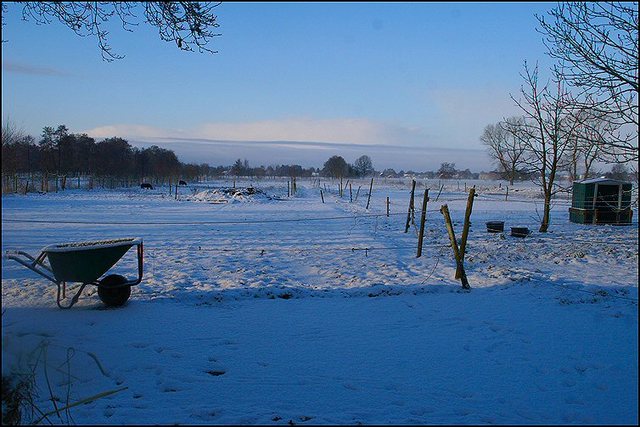 10 biggel en honden 6 dec