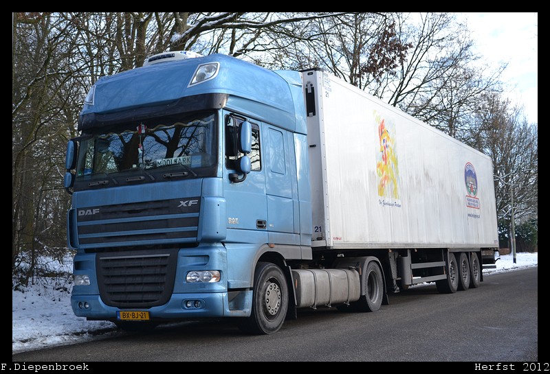 BX-BJ-82 DAF XF105 Wegman - 08-12-2012