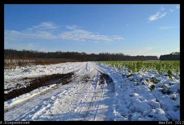 DSC 0007-BorderMaker 08-12-2012