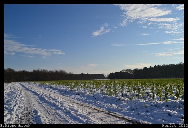 DSC 0010-BorderMaker 08-12-2012