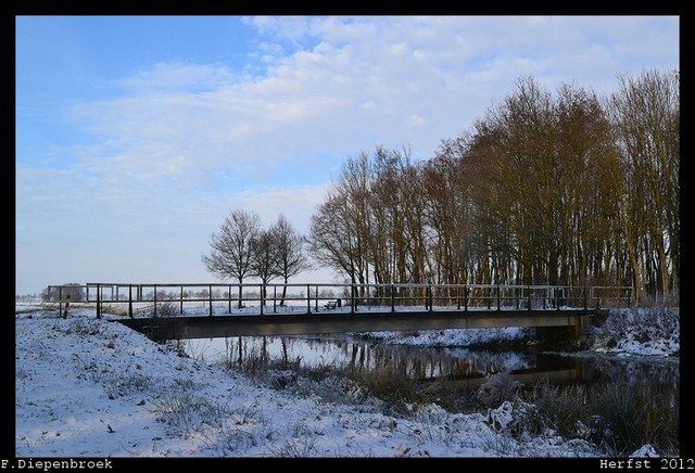 DSC 0032-BorderMaker 08-12-2012