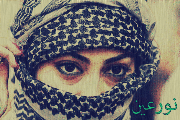 135516938363357zxcv - 