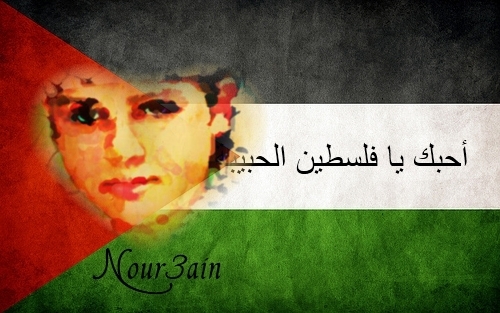 1355173427737 zxzczx - 