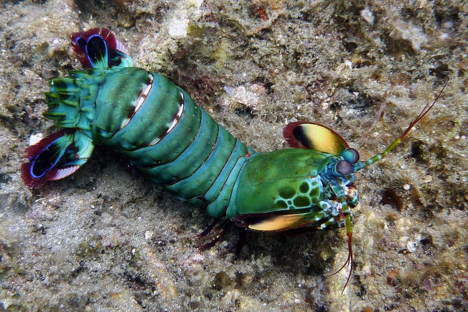 01300363834032133715906556914 - 