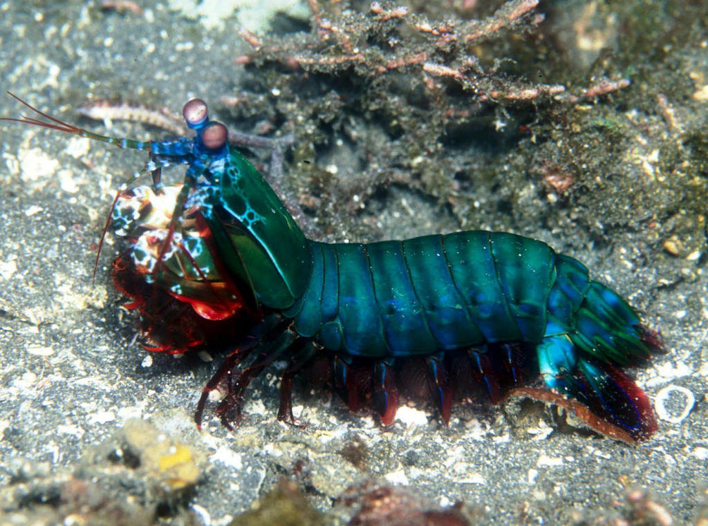 01300363834032133715780586958 - 