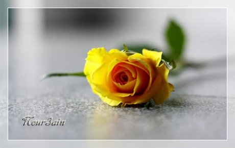 Overlijden jpg 460x1000 upscale q85llll - 