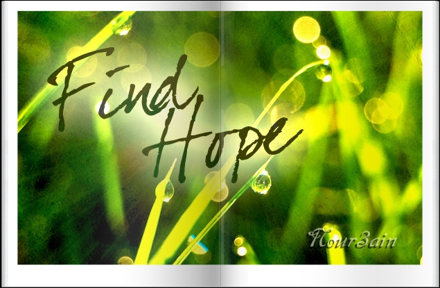 findhopebbnn - 