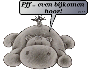 bijkomen+nijlpaard - 