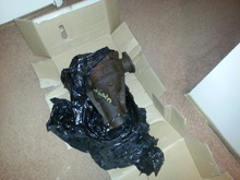 Image Hosted by PicturePush - Photo Sharing