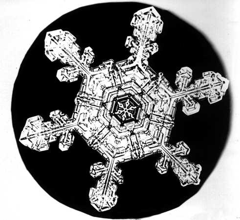 Bentley Snowflake20 - 